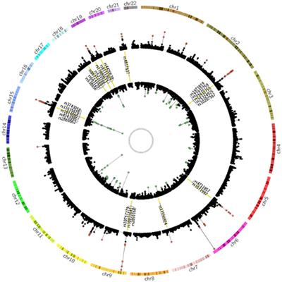 Determination of genetic correlation between tobacco smoking and coronary artery disease